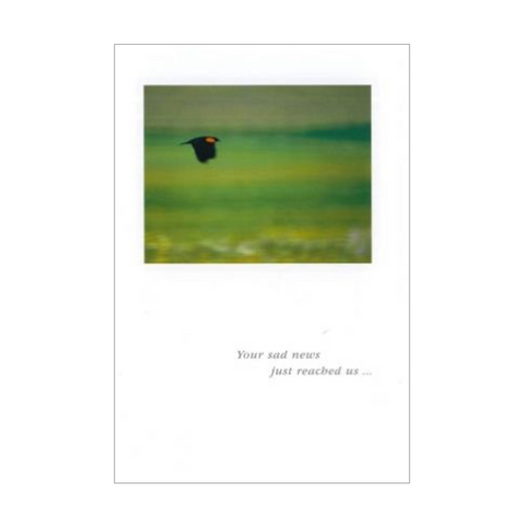Your Sad News Card