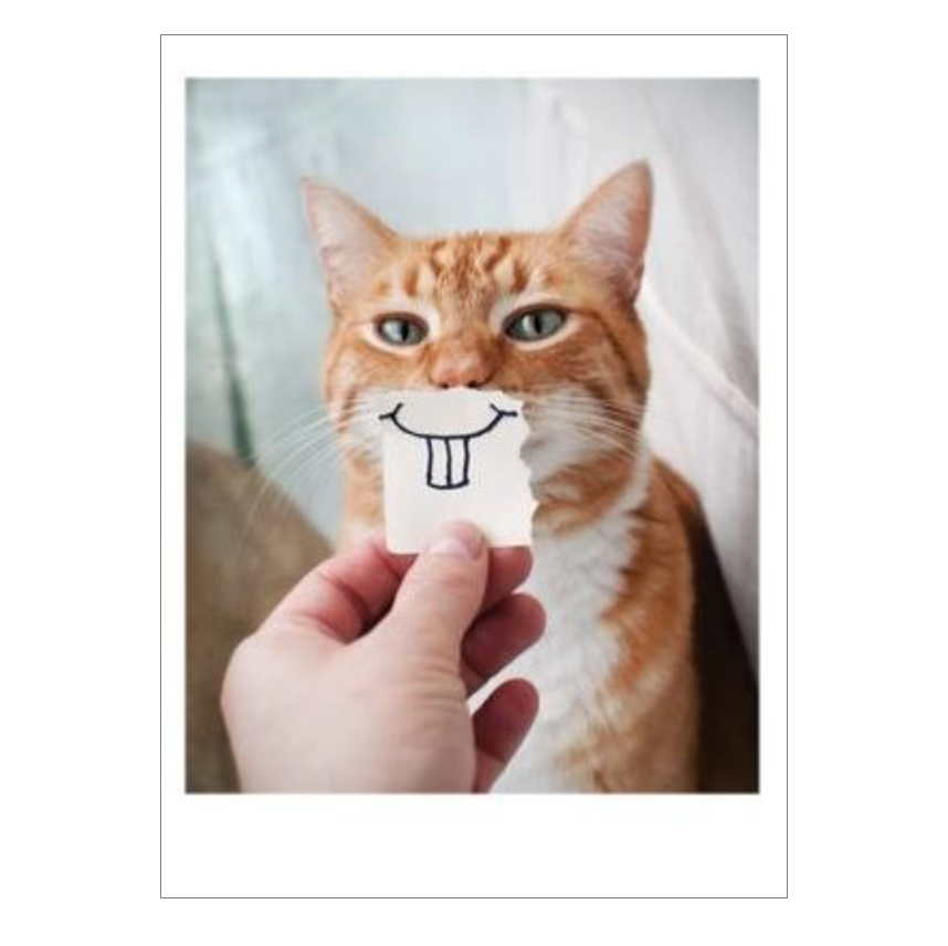 Smile On Face Cat Card
