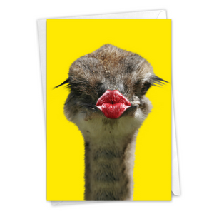 Wild Kisses Ostrich Get Well Card