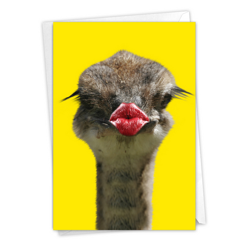 Wild Kisses Ostrich Get Well Card
