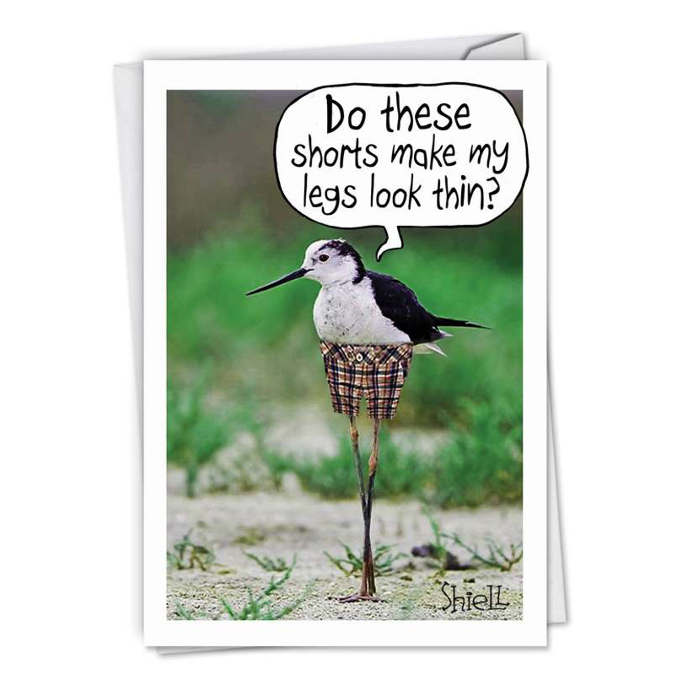Skinny Bird Legs Birthday Card