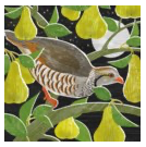Partridge In A Pear Tree Museums & Galleries Set of Cards