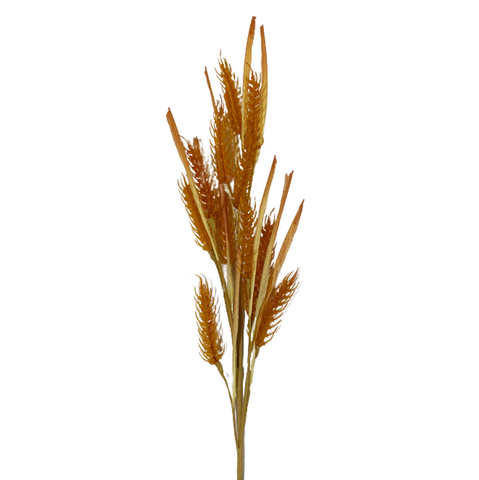 Wheat Spray