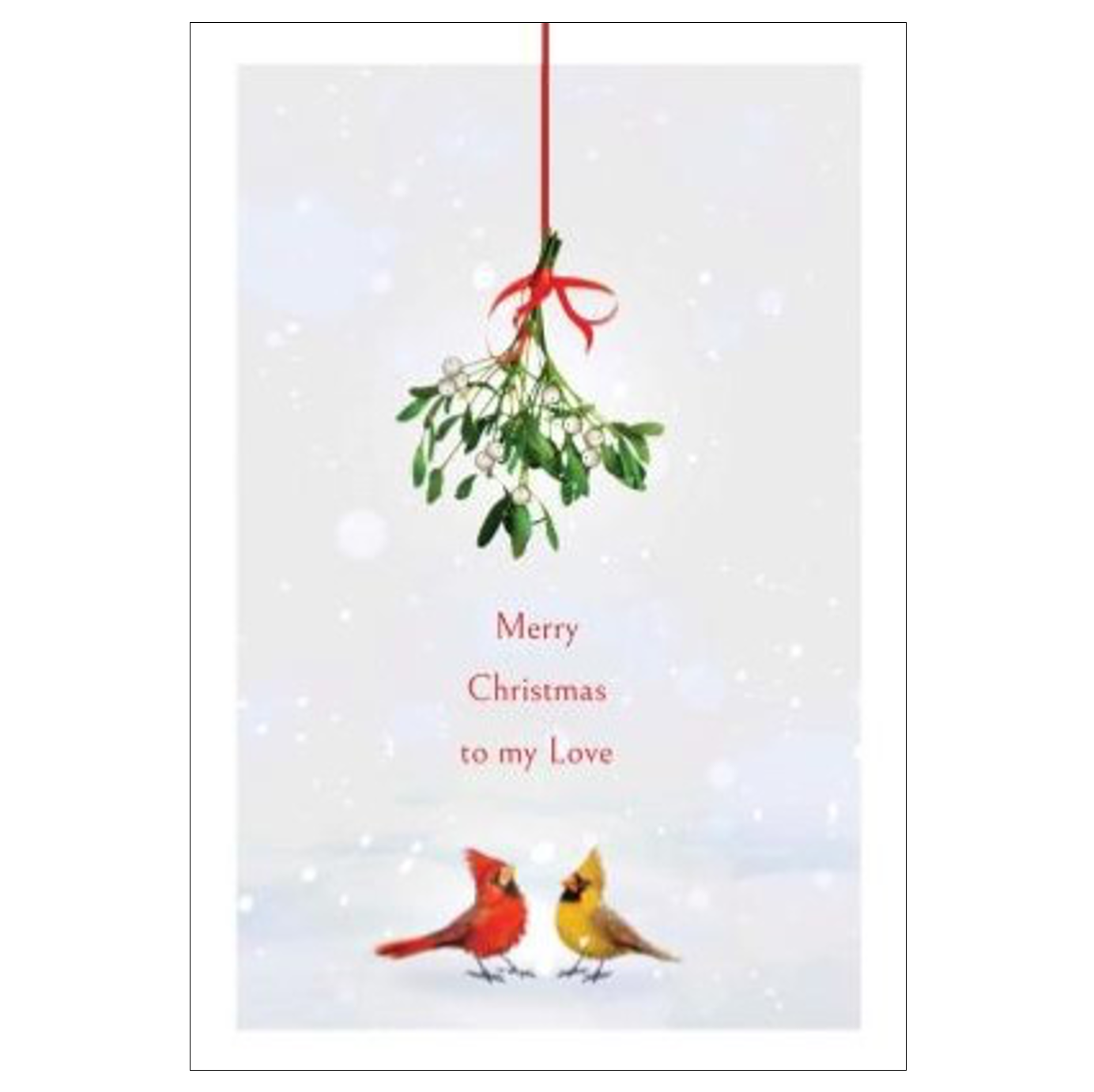 Merry Christmas To My Love Card
