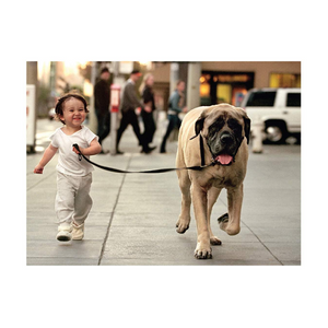 Side By Side Friends Forever Card