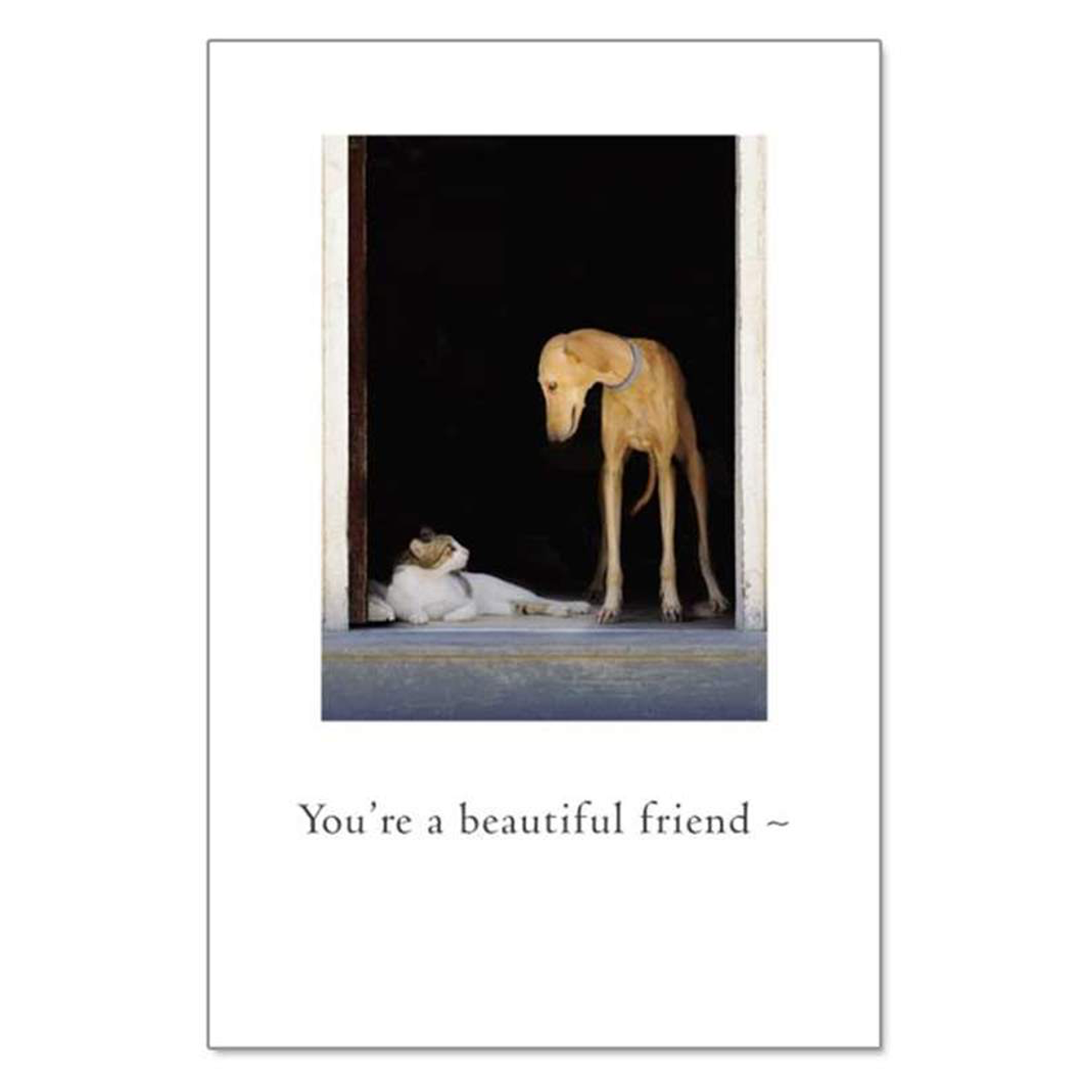 You're A Beautiful Friend Card