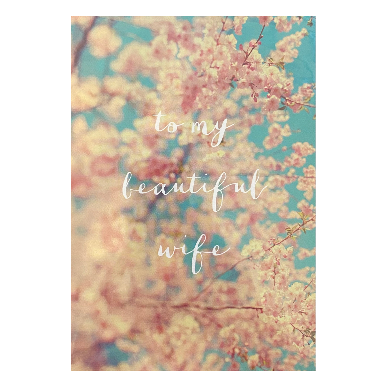 To My Beautiful Wife Card