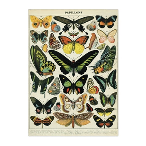 Vintage Butterflies Card