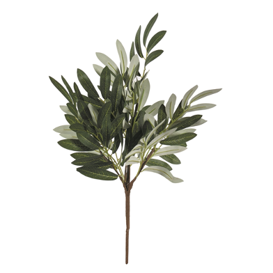 Olive Leaf Bouquet