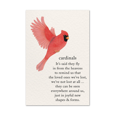 Cardinals Sympathy Card