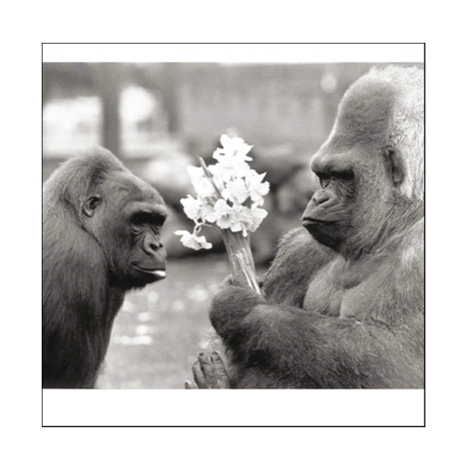 Apes & Flowers Card