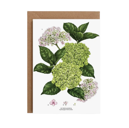 Hydrangea Card
