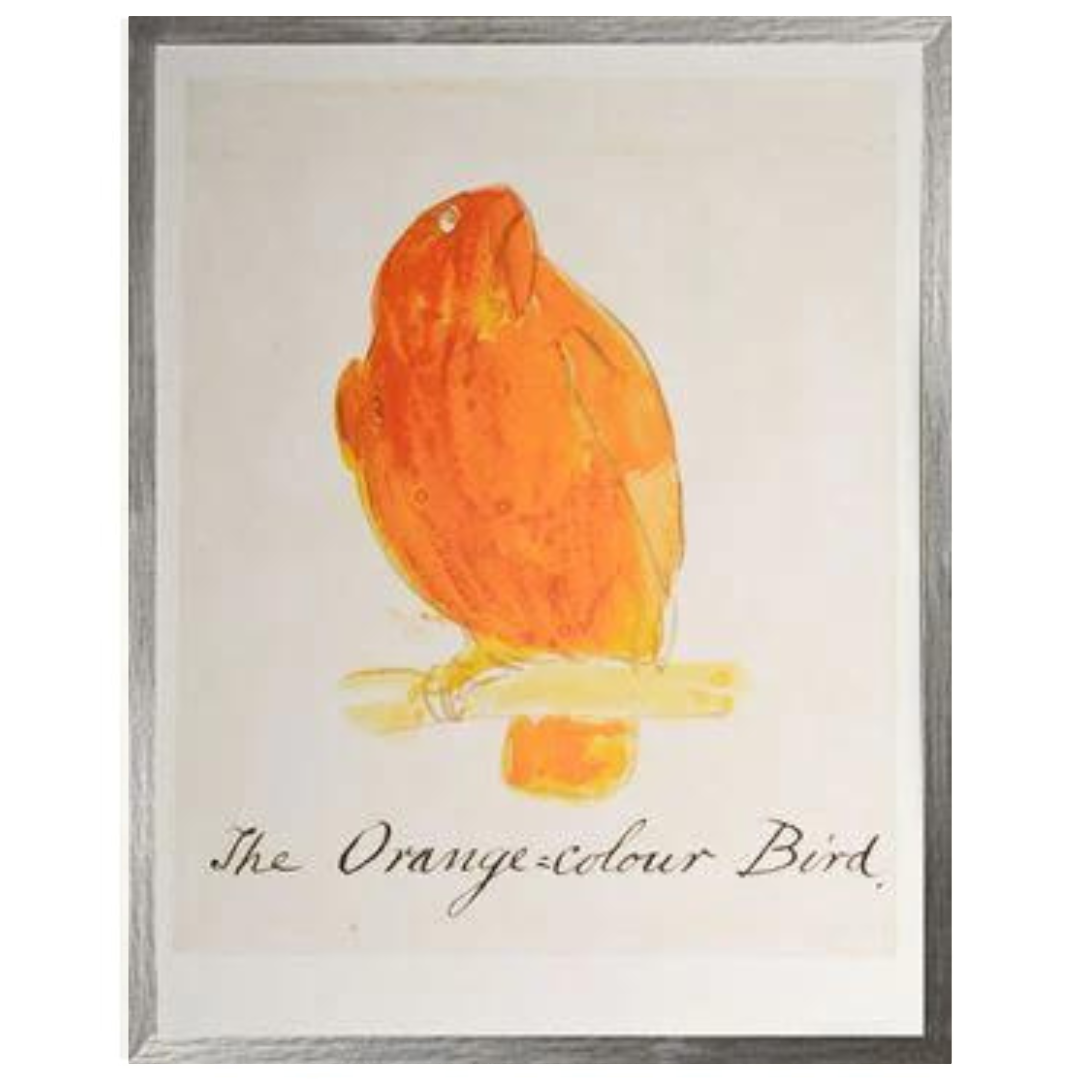The Orange Colour Bird