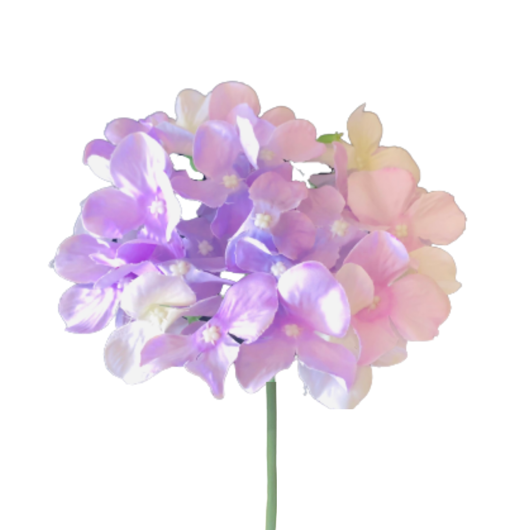 Lavender Hydrangea