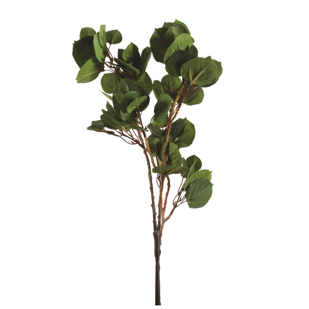 Fruit Leaves Spray