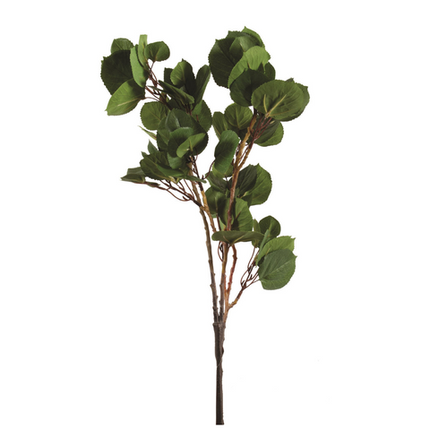 Fruit Leaves Spray