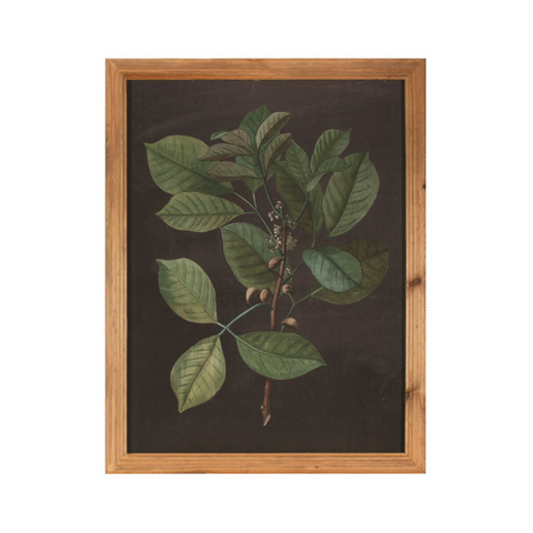 Botanical Leaf Art II