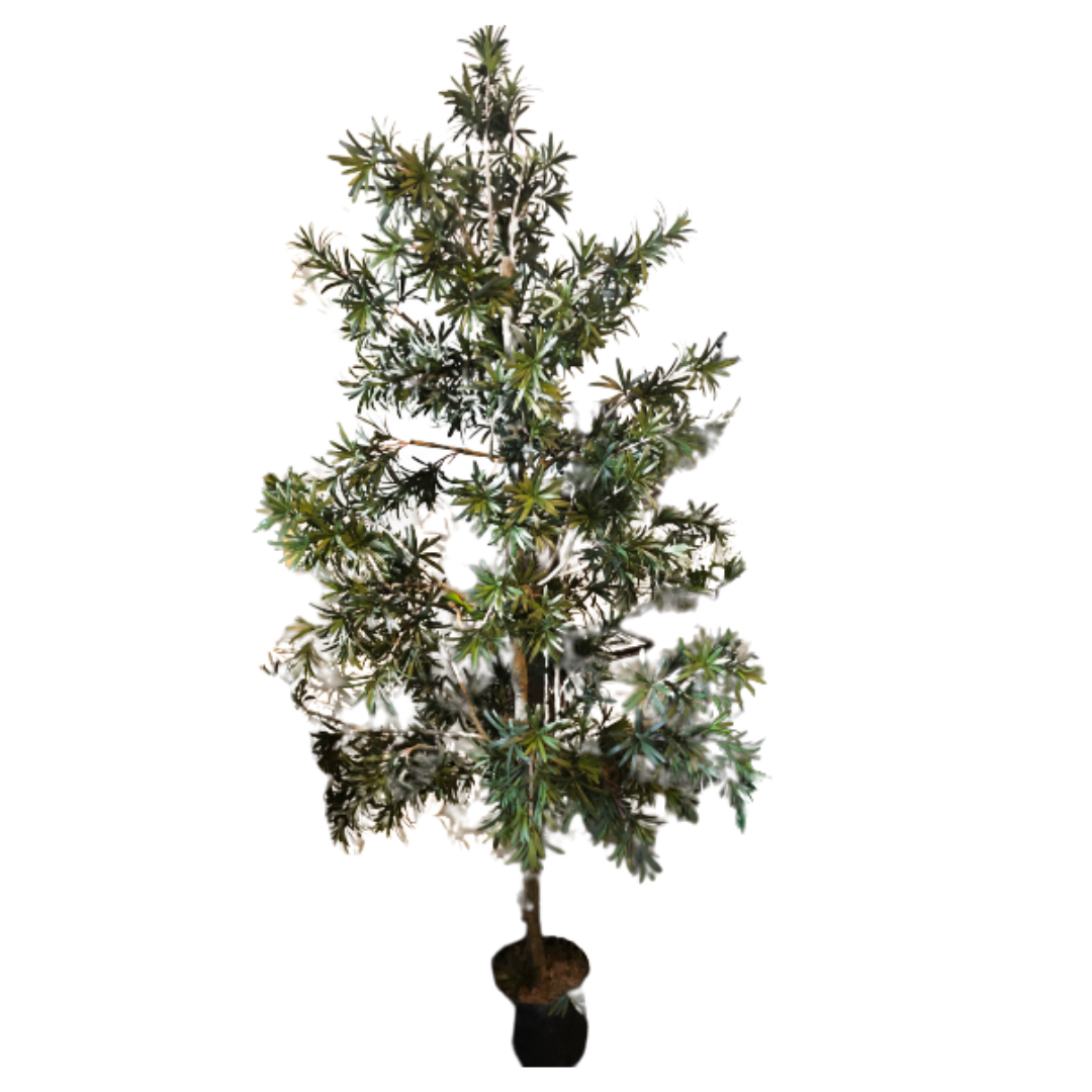 Green Tree in Planter II