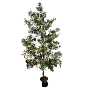 Green Tree in Planter II