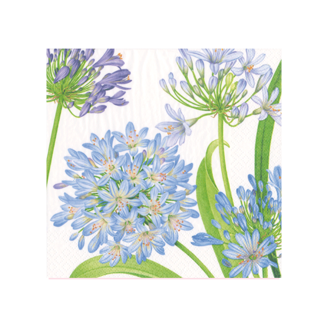 Cocktail Napkins - Agapanthus Garden