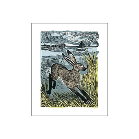 Young Hare Card
