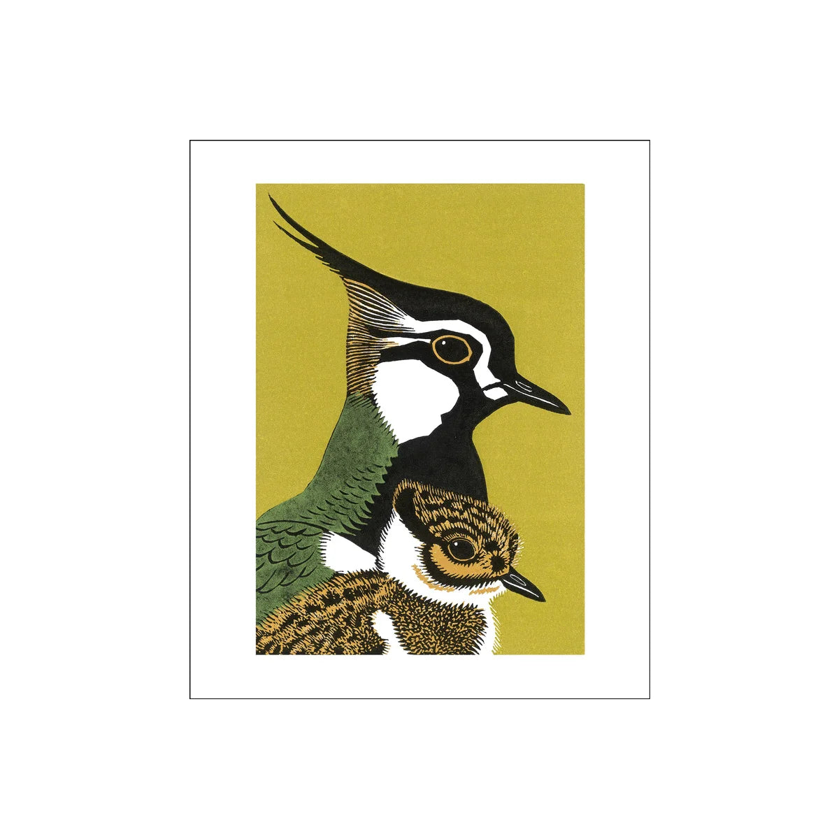 Peewit And Son Card