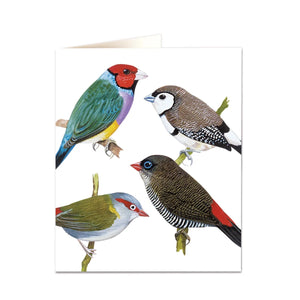 Finches Card