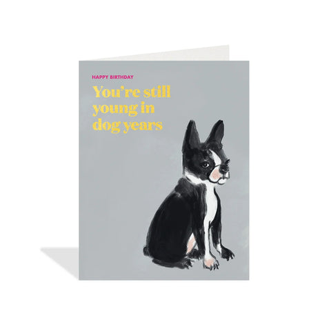 You're Still Young In Dog Years Card