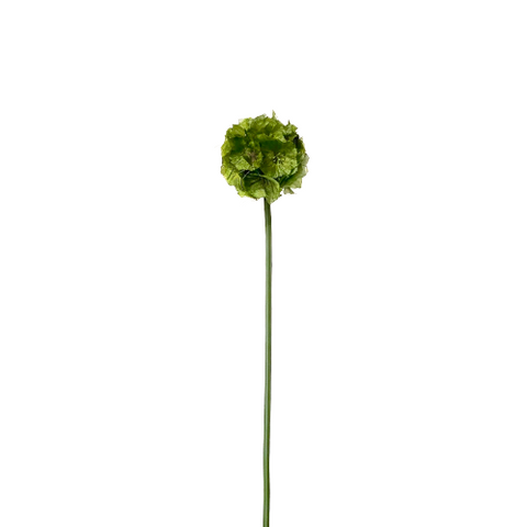 Green Foliage Ball On Stem