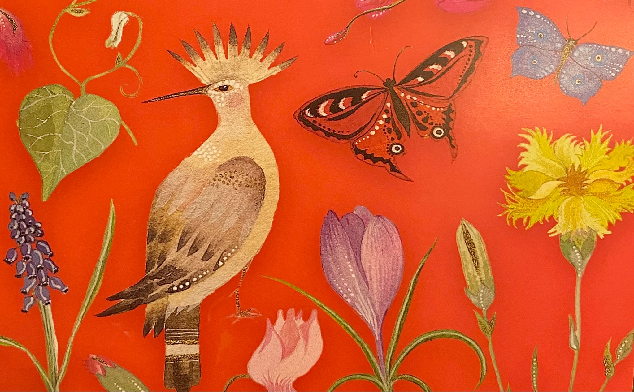 Bird & Butterfly Roger la Borde Red Card