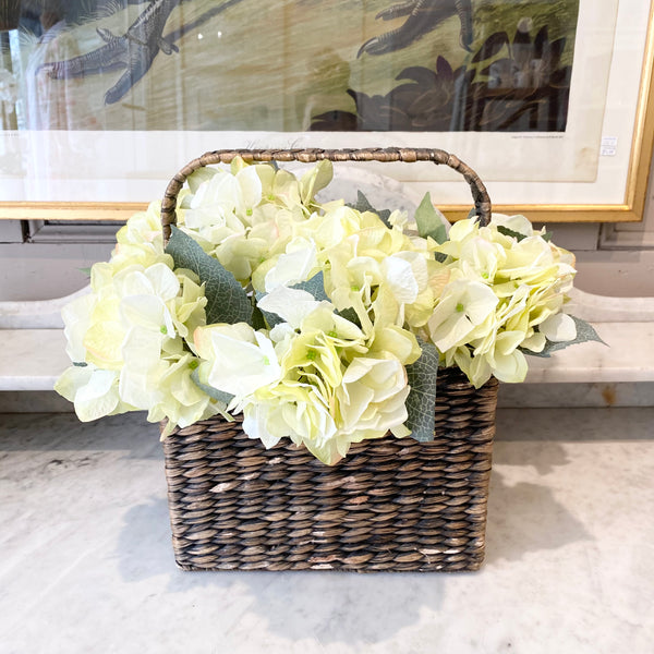 Green Hydrangea
