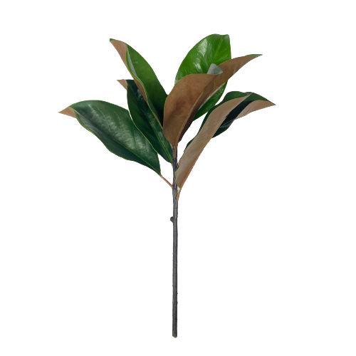 Magnolia Pick