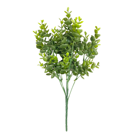 Boxwood Spray
