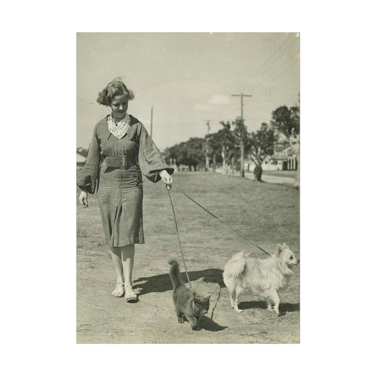 Walking The Dog Card