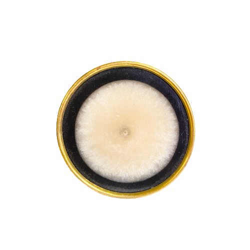 Ivory & Black Round Knob