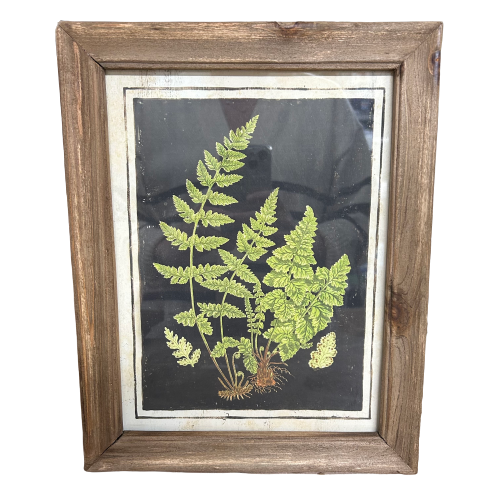 Botanic Fern Prints