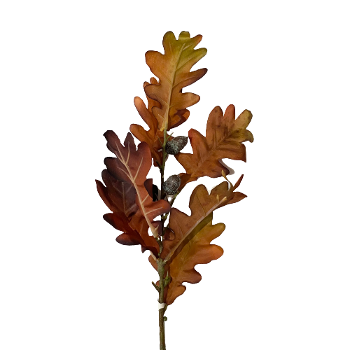 Oak Leaf Picks With Acorns