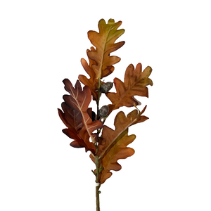 Oak Leaf Picks With Acorns