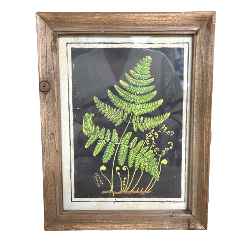 Botanic Fern Prints