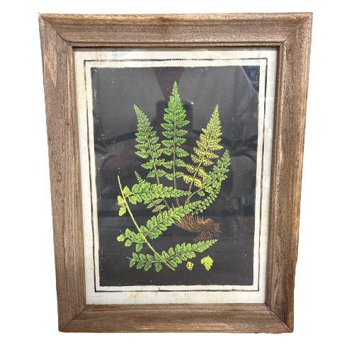 Botanic Fern Prints