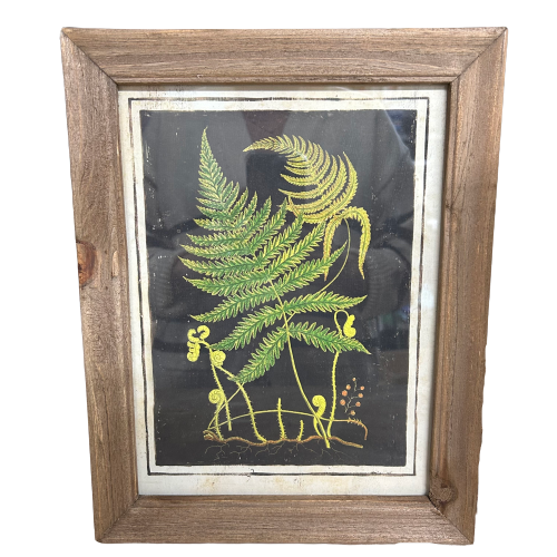 Botanic Fern Prints